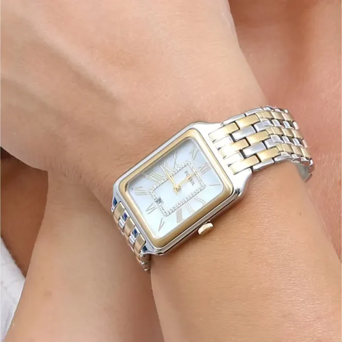 Fossil Raquel ES5222 – Silver Dial Quartz Women's Watch