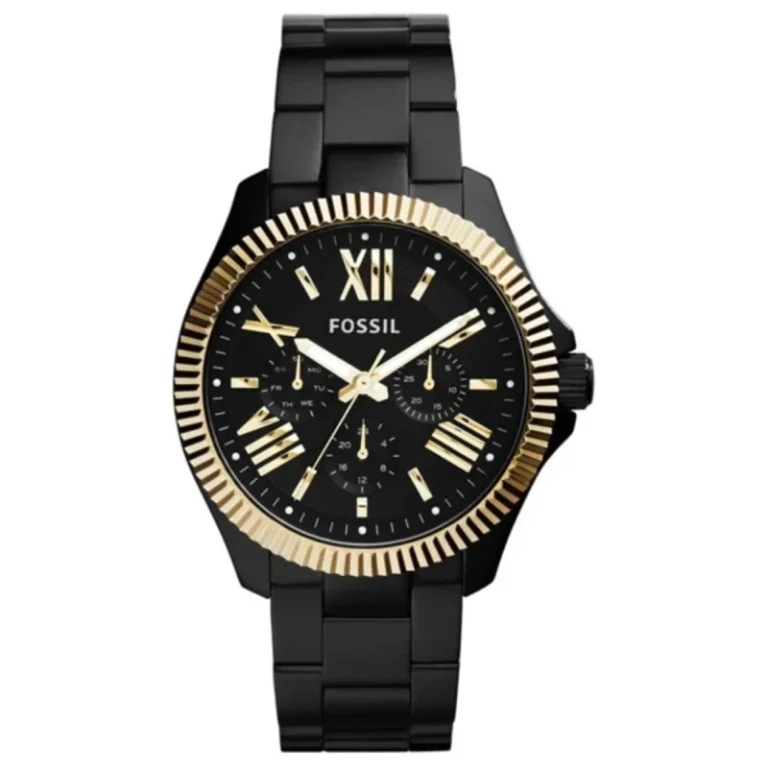 Fossil Cecile Multifunction AM4606 – Sunray Black Dial Quartz Women's Watch